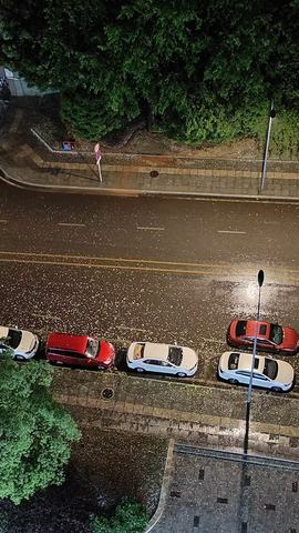 安念念主播照片