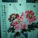 杨成林x7
