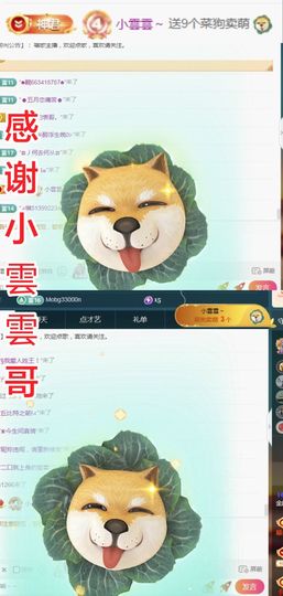 金麒麟安静唱歌🎤主播照片