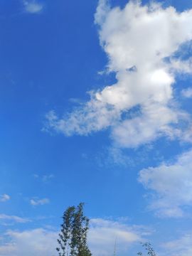 玟玟🌸加油啊主播照片