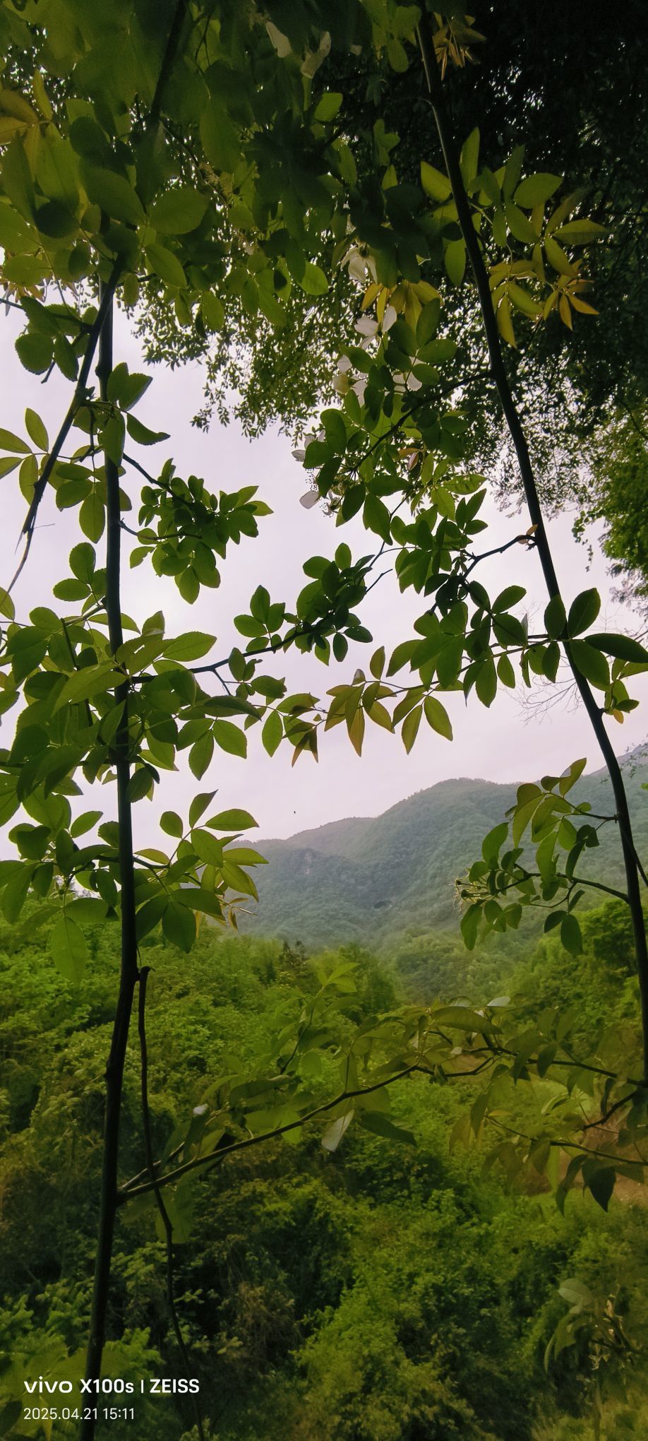 妞妞骑行全国的图片