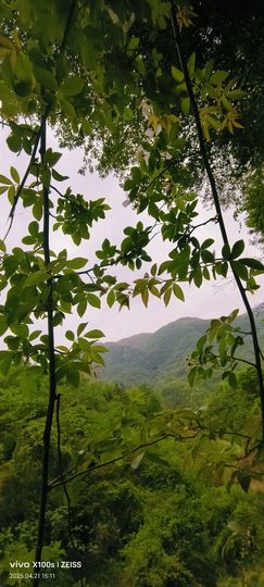 妞妞骑行中国主播照片