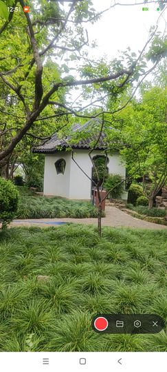婷婷💕求过月底任务主播照片