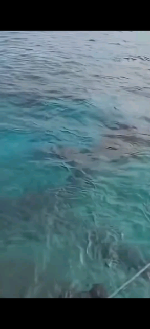 海钓之旅
