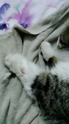 漫天雪.主播照片