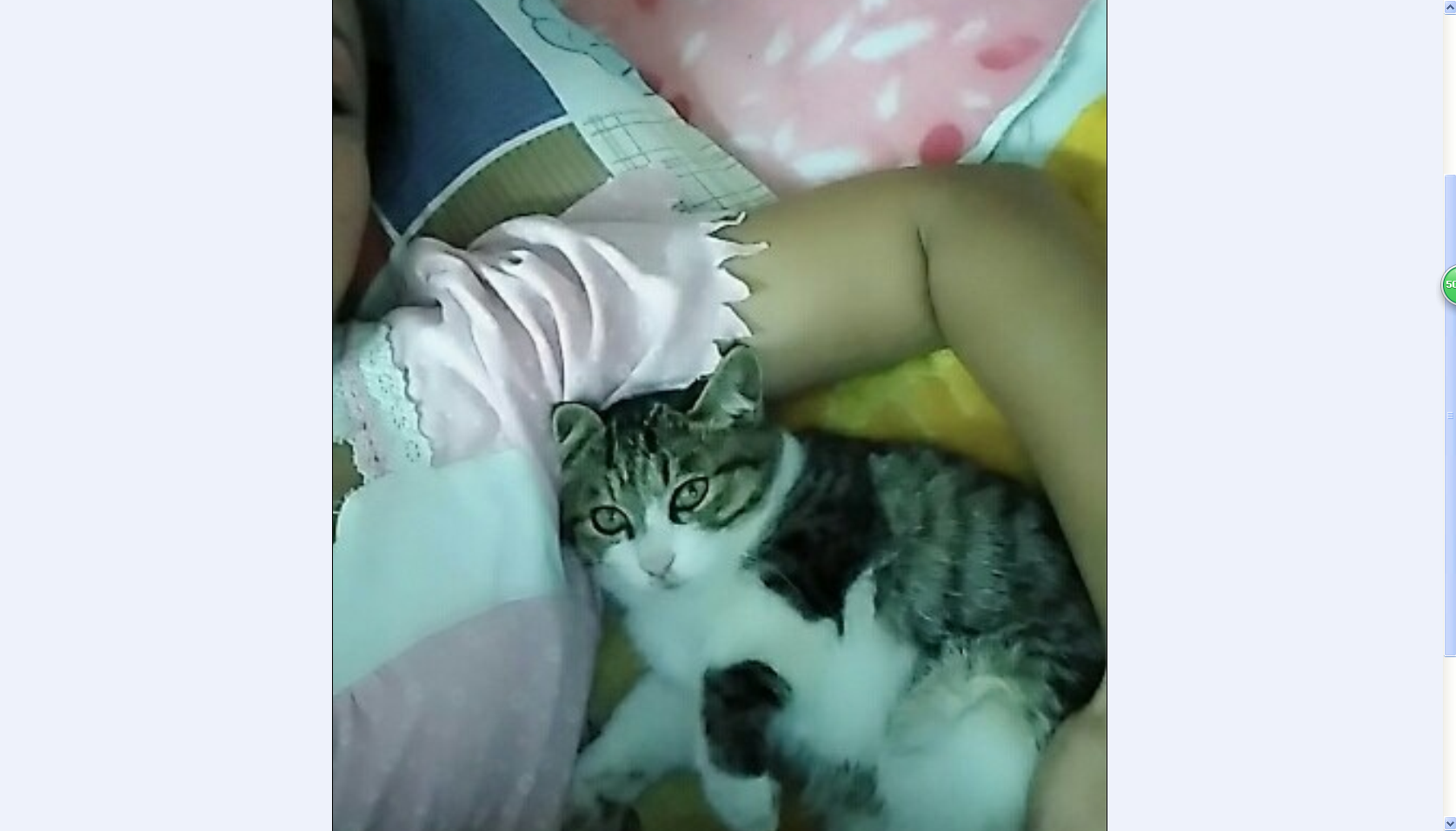 つ留青つ的图片