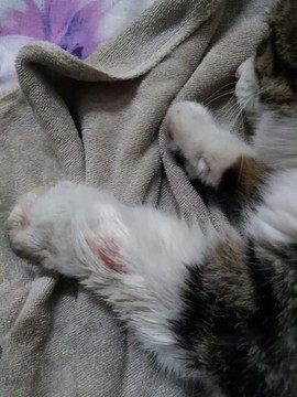 ╰つ留青╰ゞ主播照片