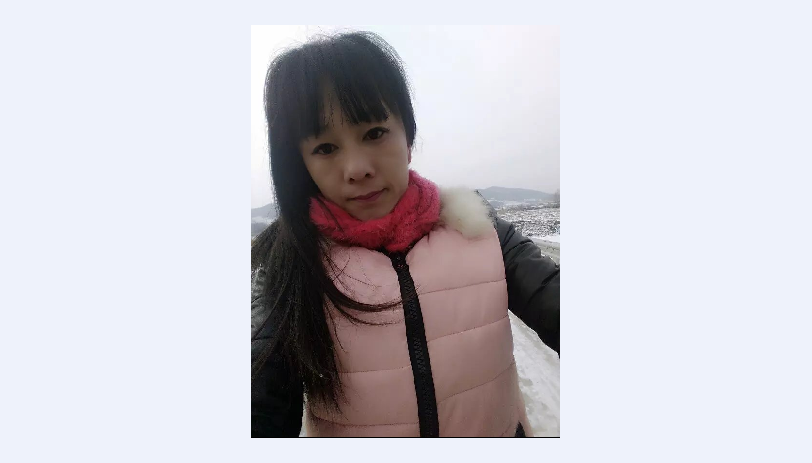 雪燕.的图片
