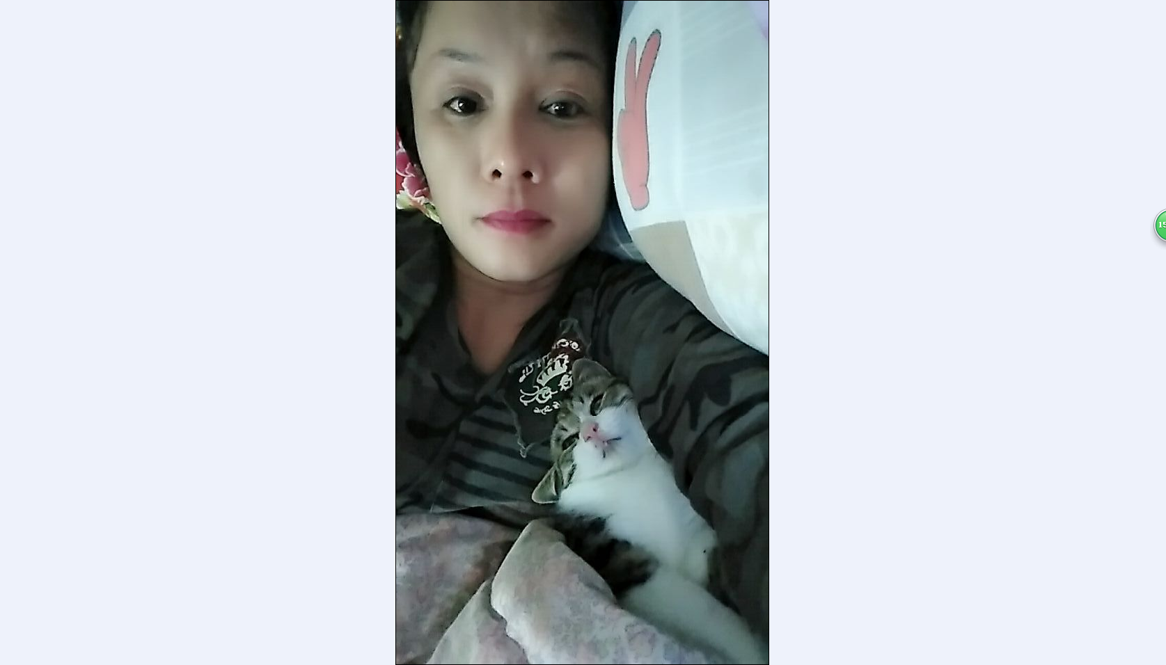 雪燕.的图片