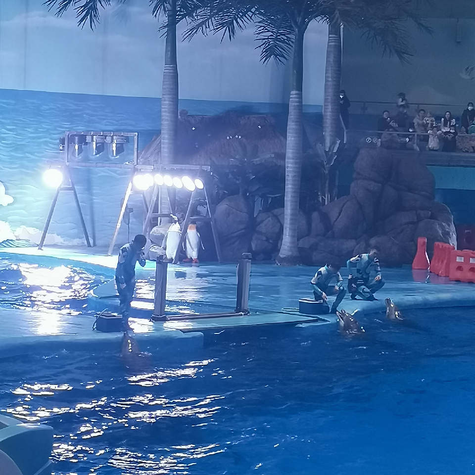 平安123w海报