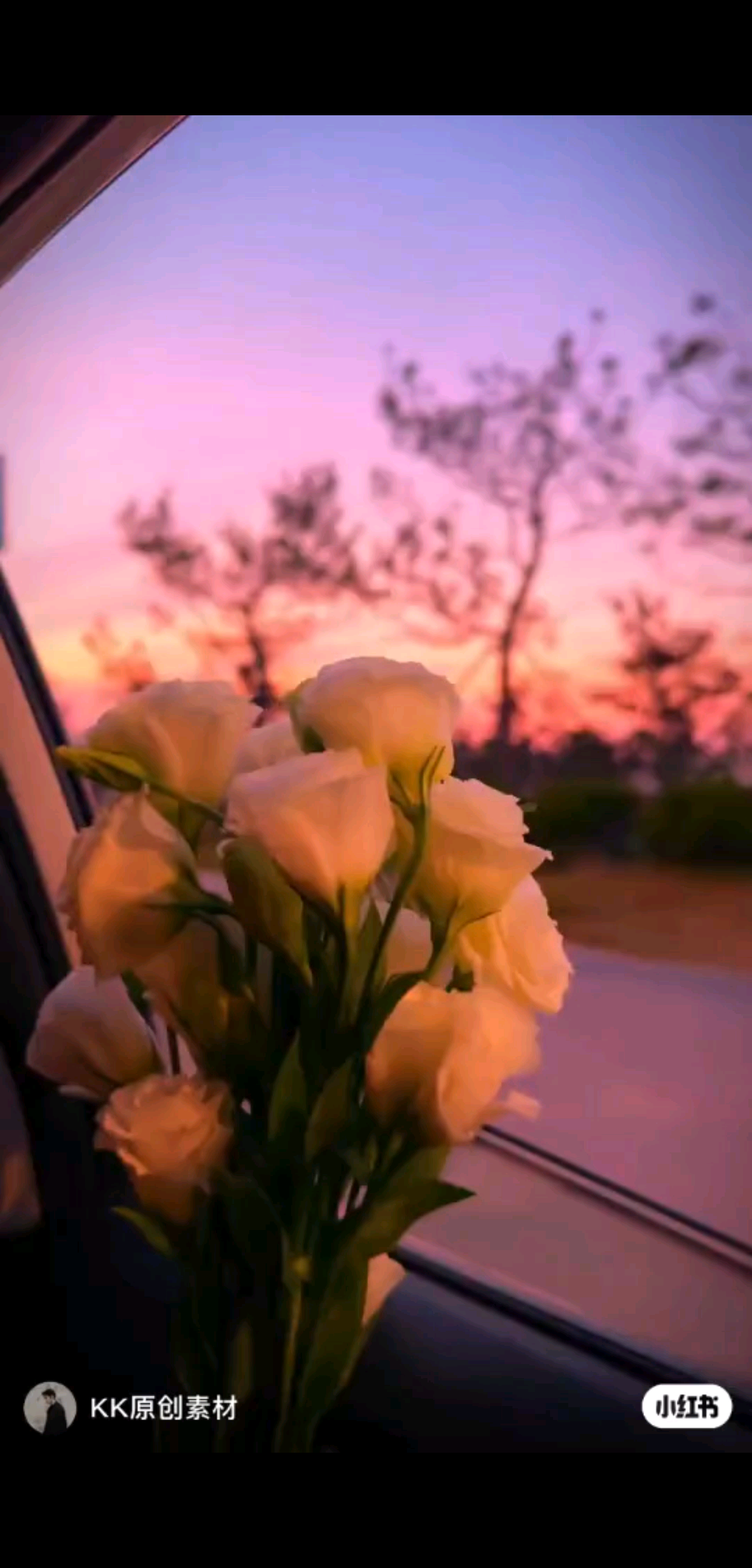 💓