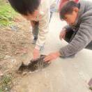 開心w15的頭像