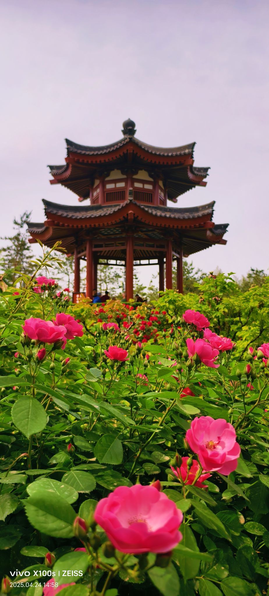 妞妞骑行全国的图片
