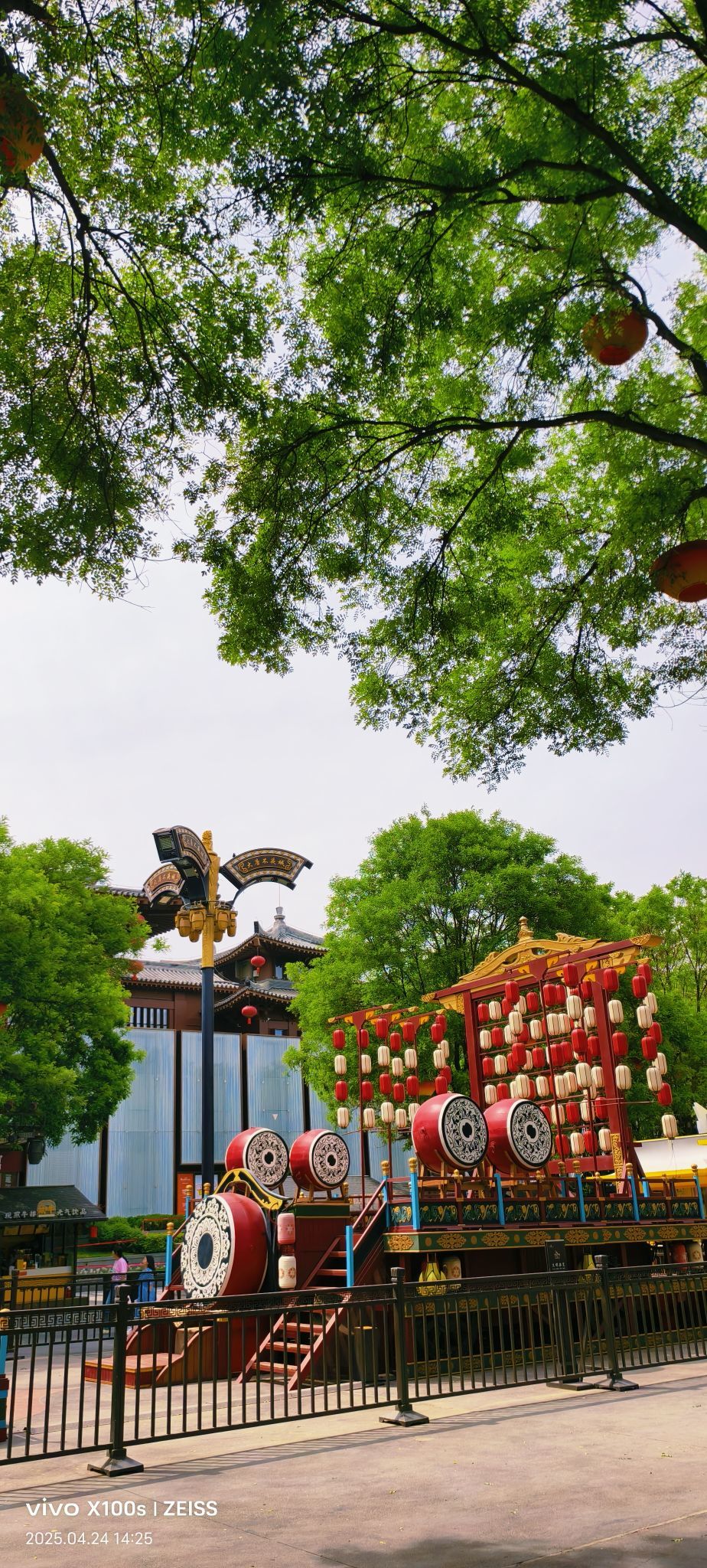 妞妞骑行全国的图片
