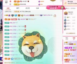 菲儿♥好运来🌈主播照片