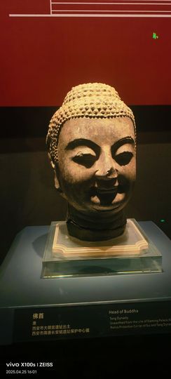 妞妞骑行三亚的图片