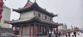 妞妞骑行中国主播照片
