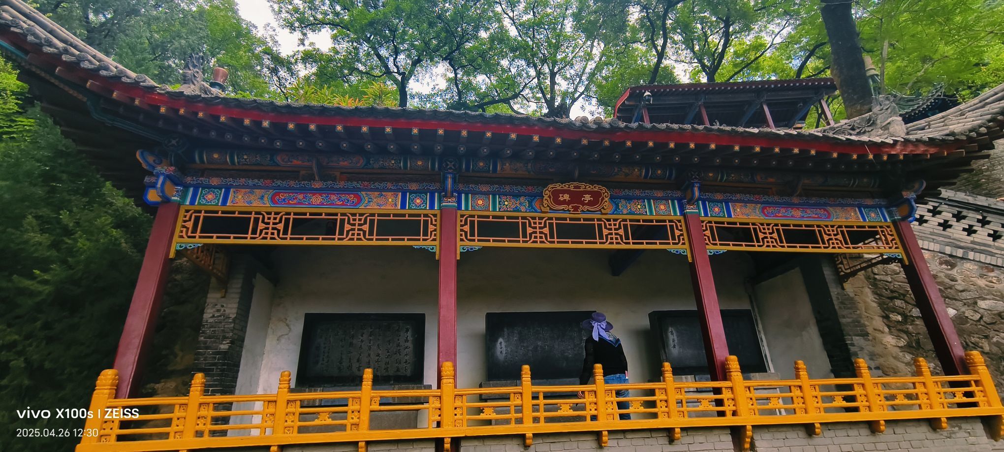 妞妞骑行全国的图片