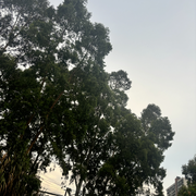 批发市场