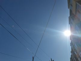 婷儿～所遇皆甜主播照片