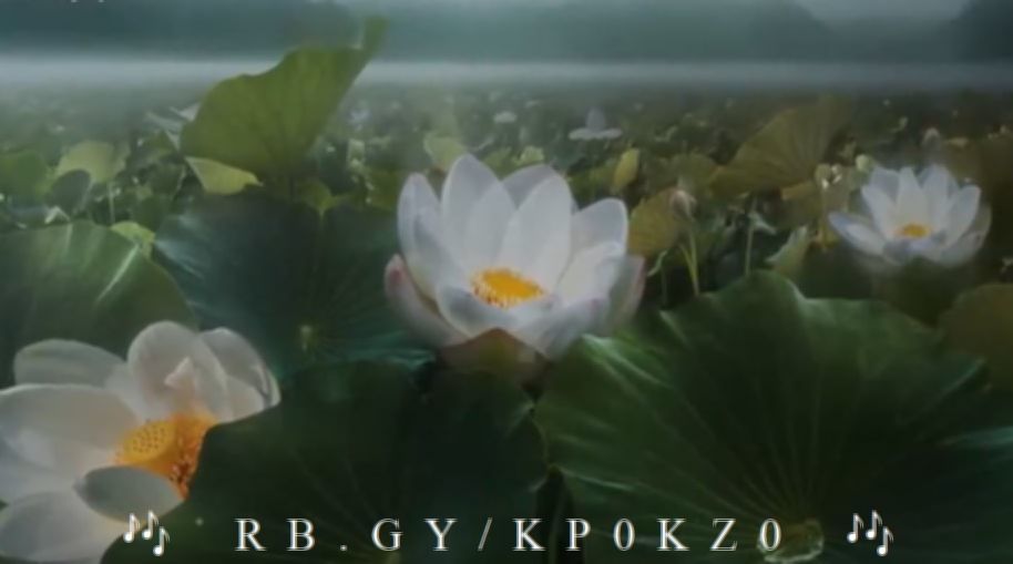 GYrb4q5b的图片