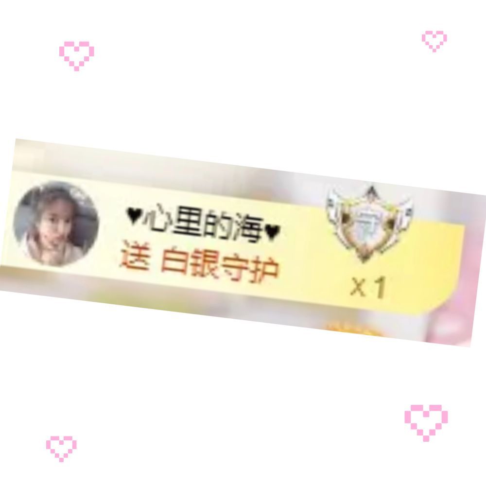海鴿晚上見主播圖片