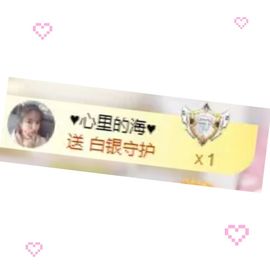 海鸽晚上播主播照片