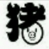 皓41的頭像