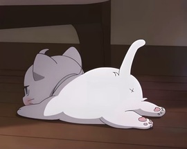 抱抱馨💌今晚播叭！主播照片
