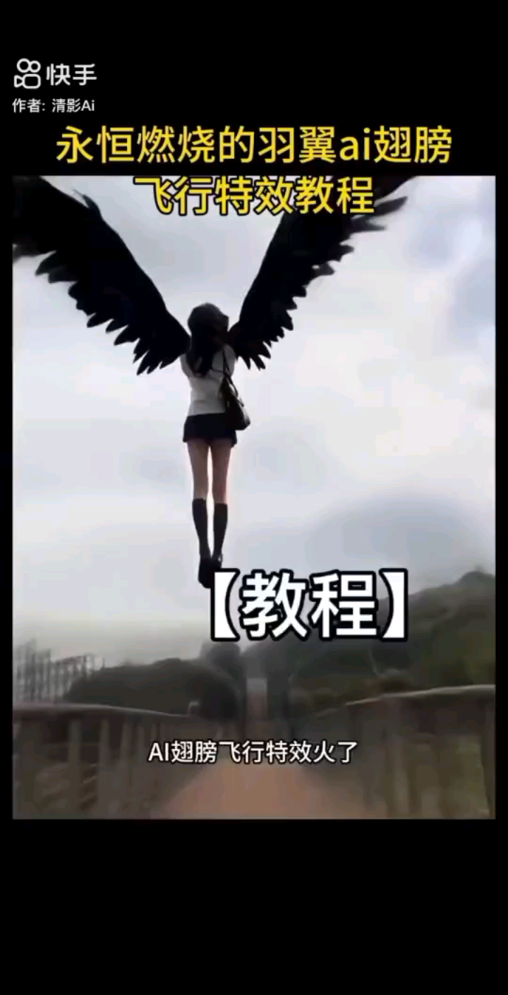 引形的翅膀