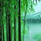 永恒b62