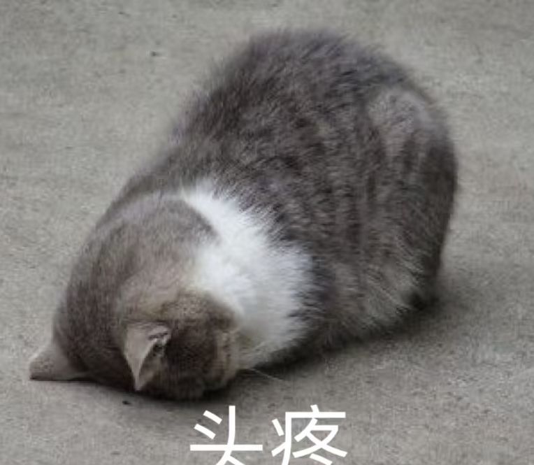 球球l.主播圖片