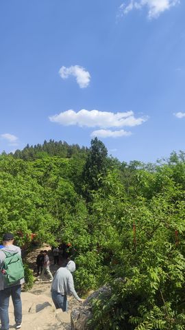 婷婷💕求过月底任务主播照片