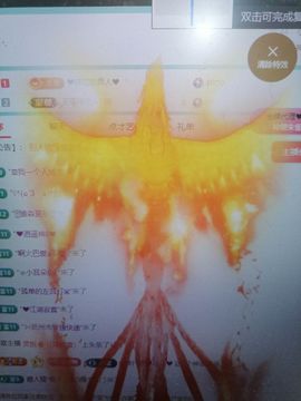丑小鸭☯求一束光主播照片