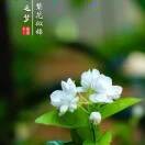 新华vuf海报