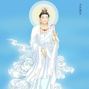 ひ╯臥槽好小！！的頭像