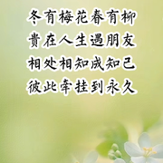 “宝中梦521”