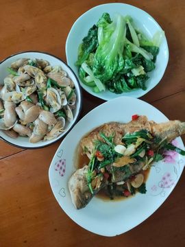 保♂罗主播照片