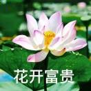 龙东大埔中通快递-物