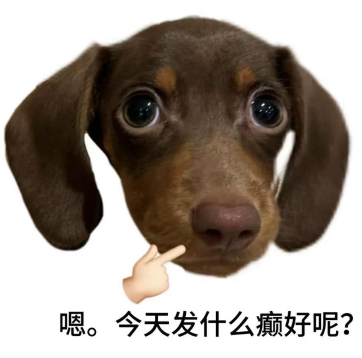 西湖龙井哼哼哼哼的图片