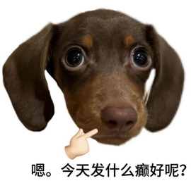 西湖龙井🌲否极泰来主播照片