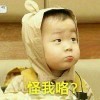 西瓜味老冰棍海报