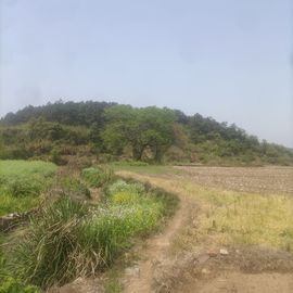&lt;我只在乎你主播照片
