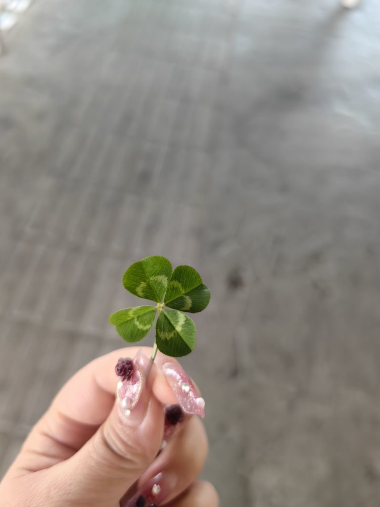 睡不醒的醒醒的主播照片