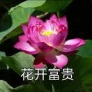 岁月静好!$s