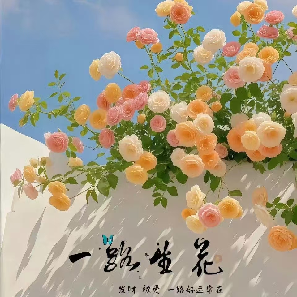 雨晴求升级的图片