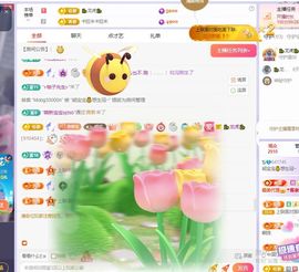 熊宝宝💰想生冠~主播照片
