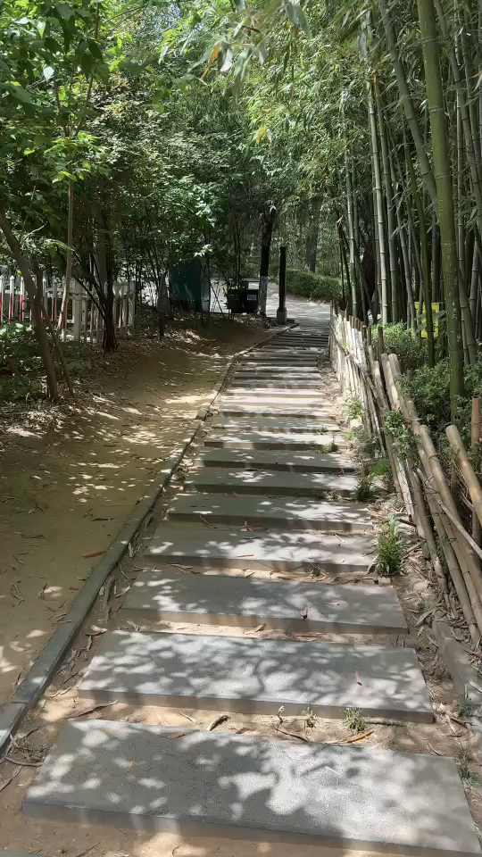 今天运动量➕➕➕