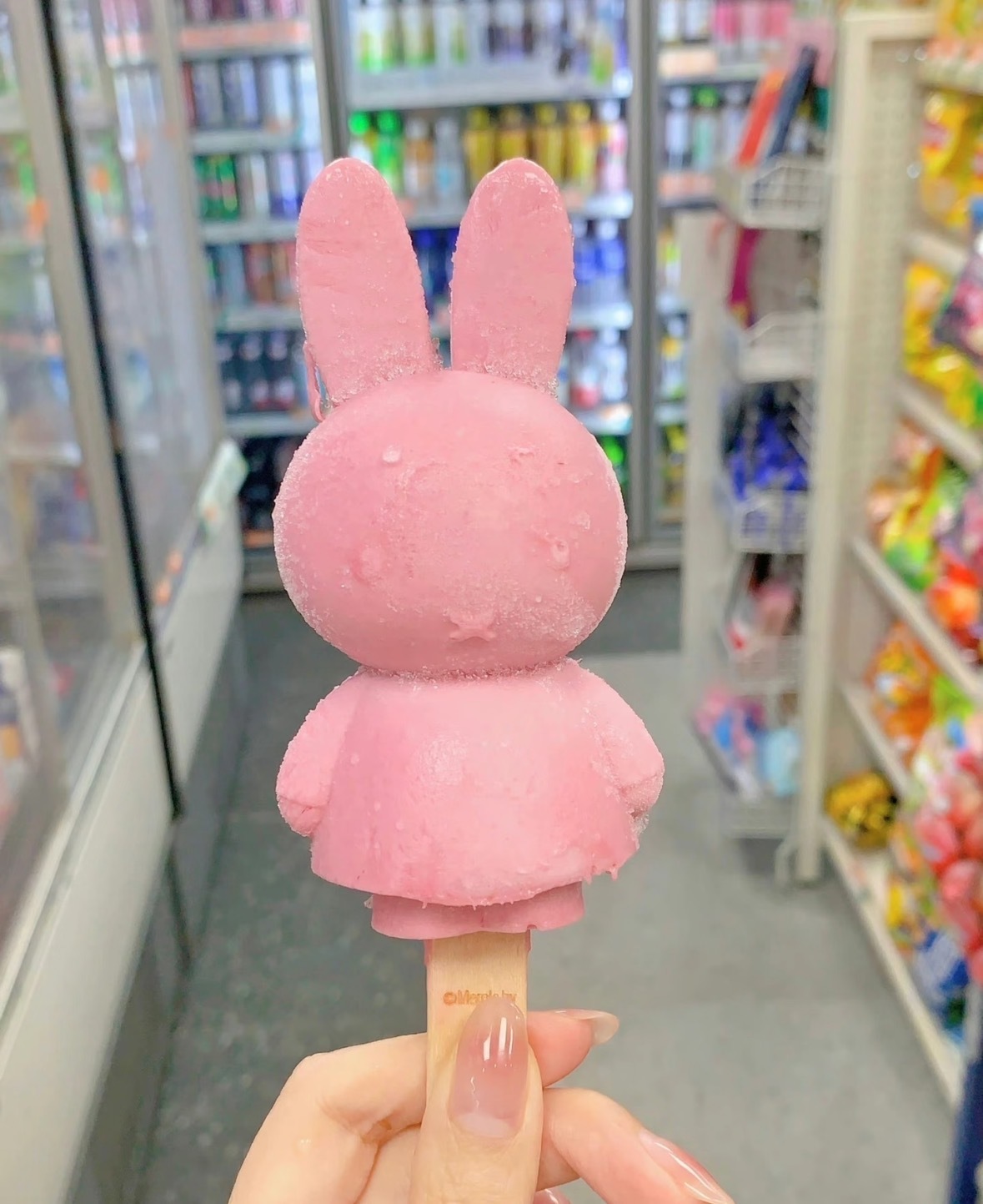 甜豆端午休息啦的图片