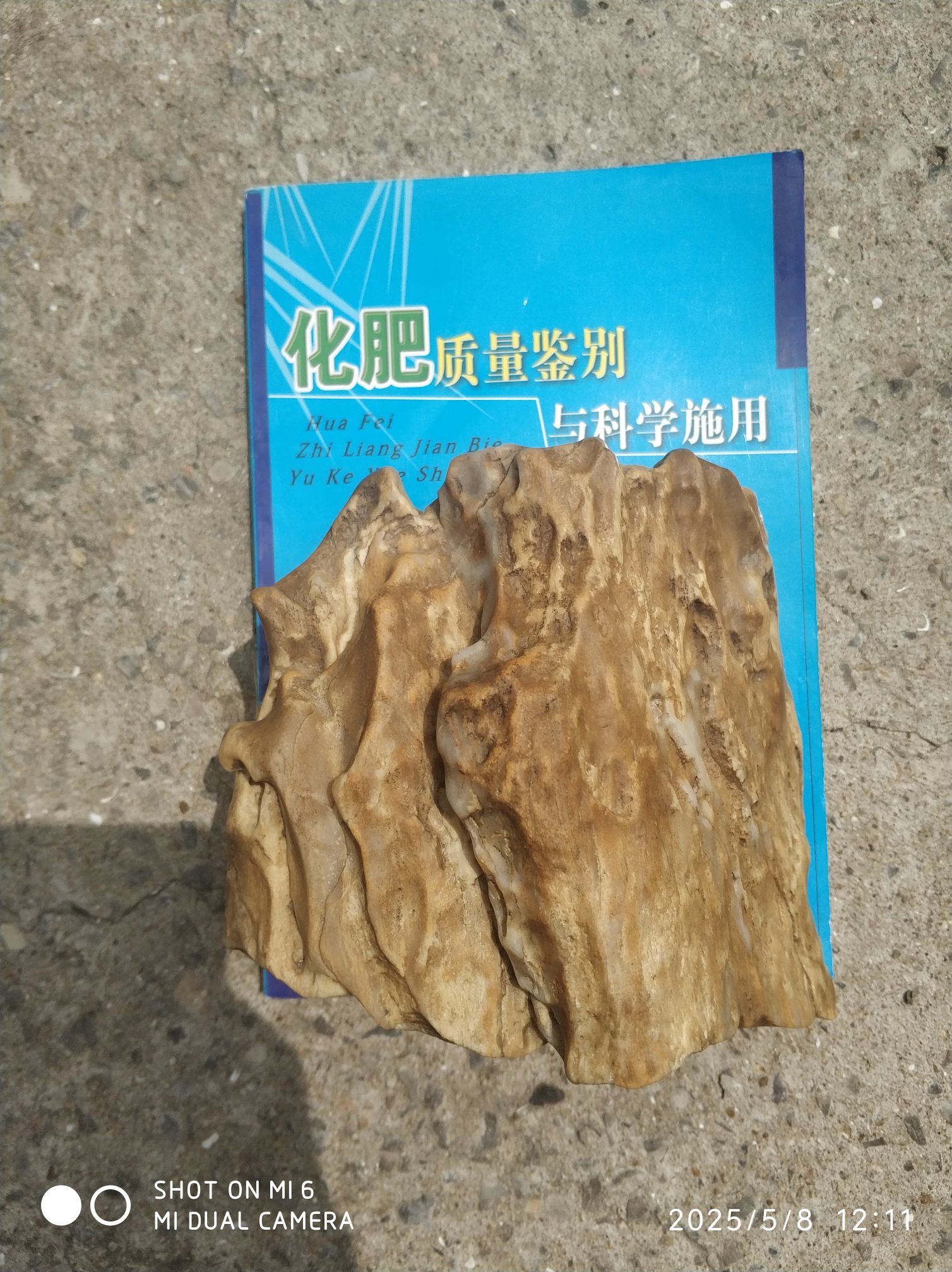 大上金货的图片